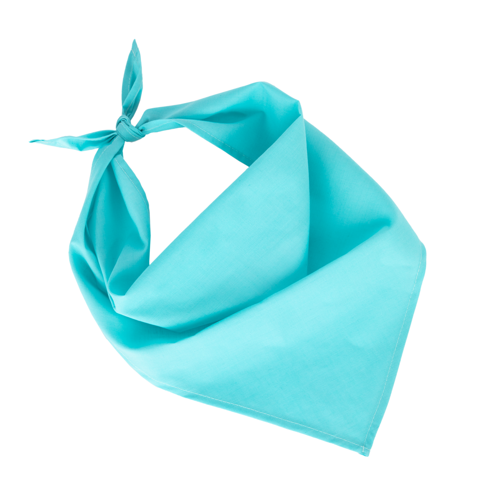 KP064 - Fiesta - Bandana - Calypso Blue