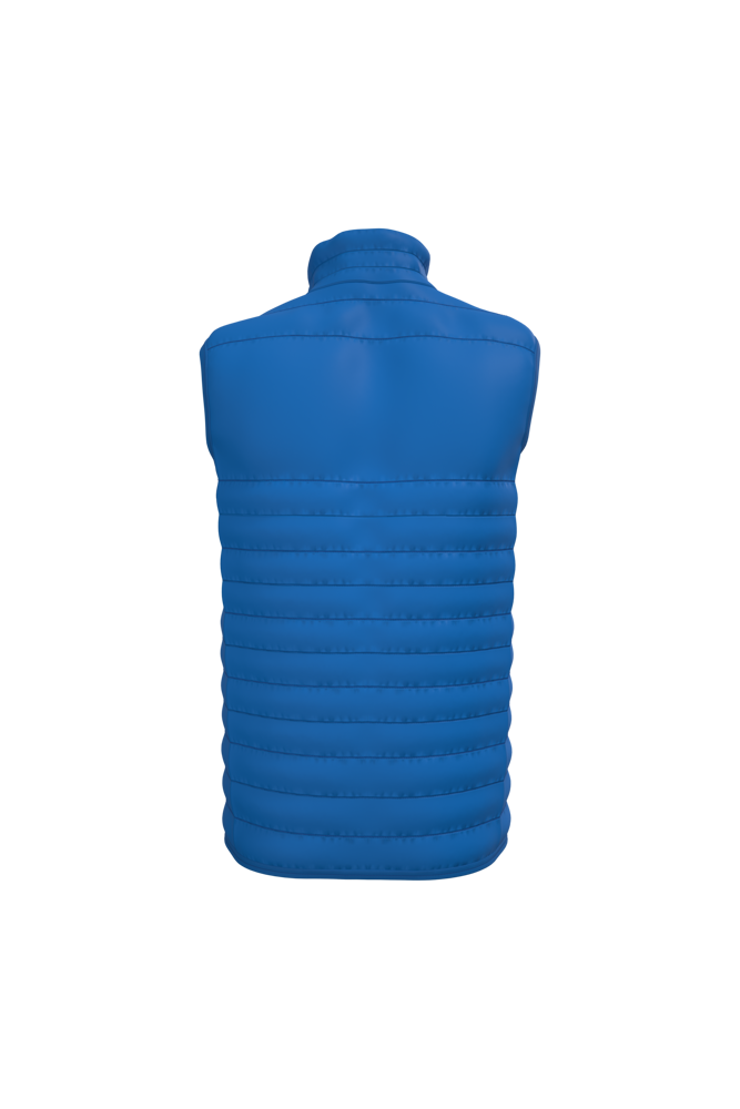 IB6172 - Herren gestepptes Bodywarmer