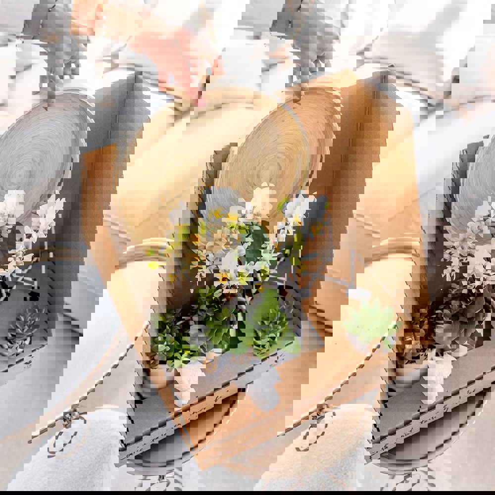 Botanical Giftset small - Luxury Silver