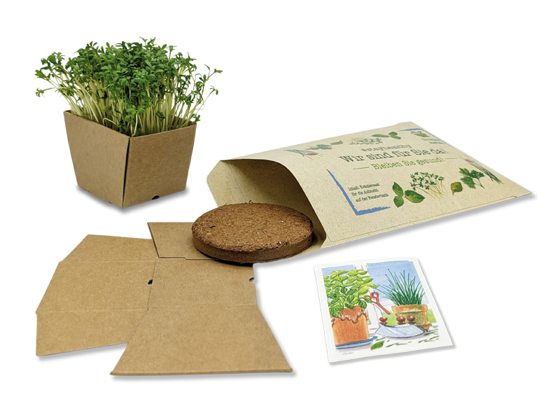 "Wünsch-Dir-Was" Samen-Pflanzset  (4/4-fb) 105 x 156 mm