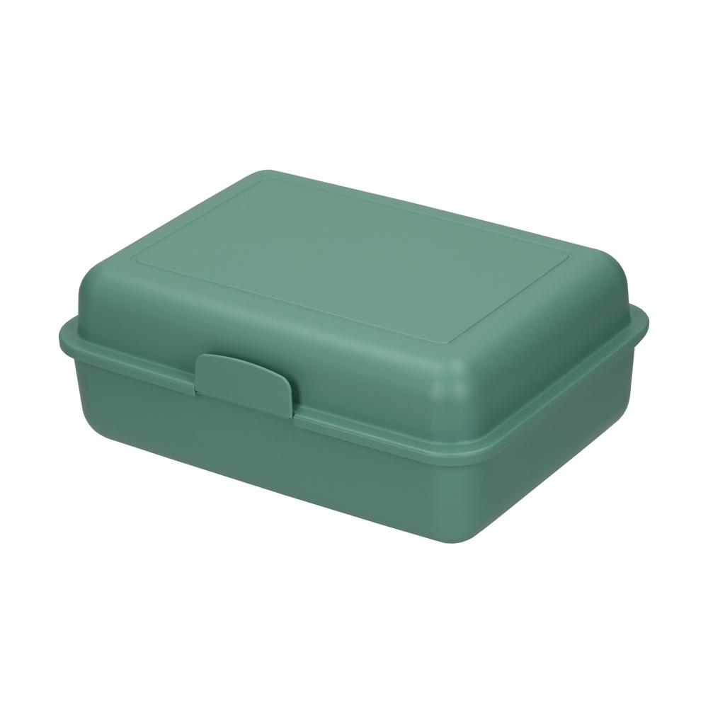 Bio-Vorratsdose "School-Box" groß - minze