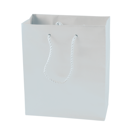 Glänzende Papiertasche, 270x370x120 mm