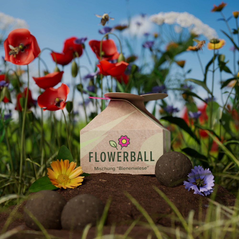 5-er BIO Seedbomb Set - Flower-Ball "Bienenwiese" - torffreibraun